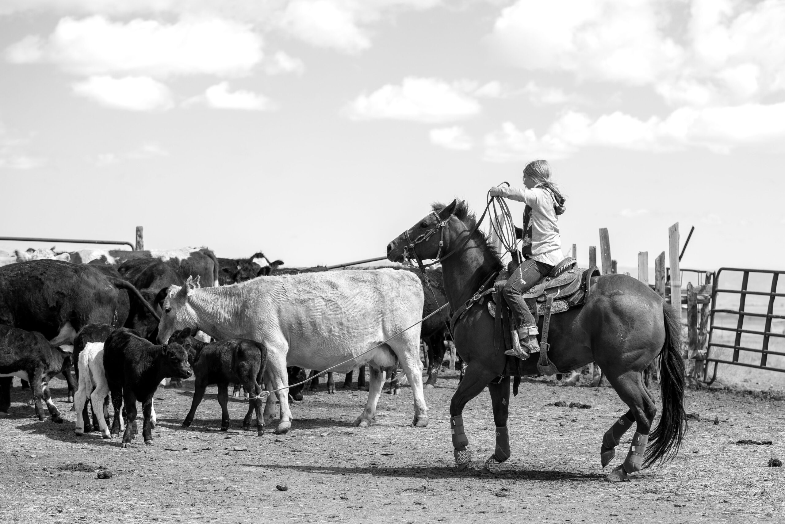 young girl ropes cattle off her horse in black and white portrait