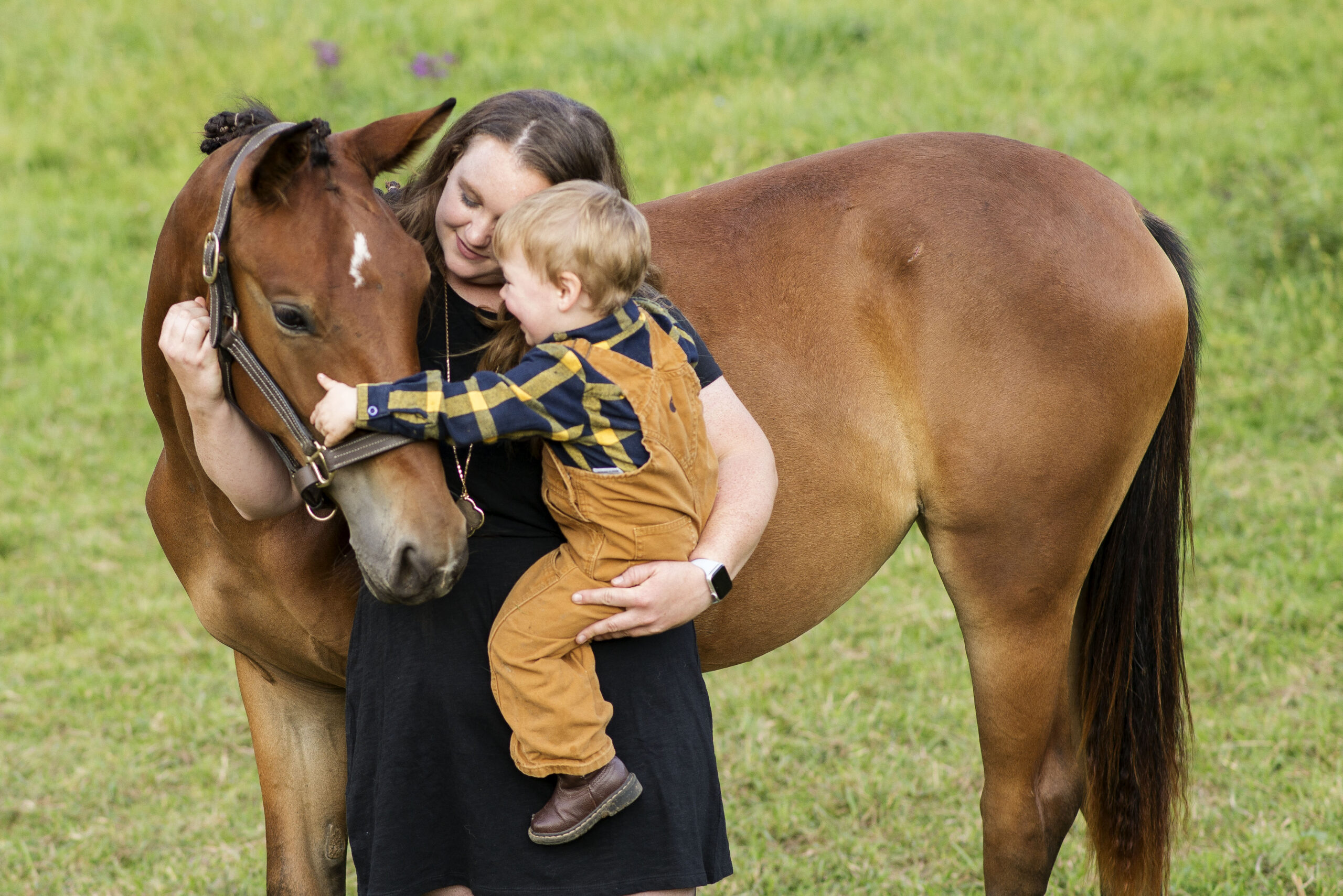 mom and son snuggle with foal for family portraits