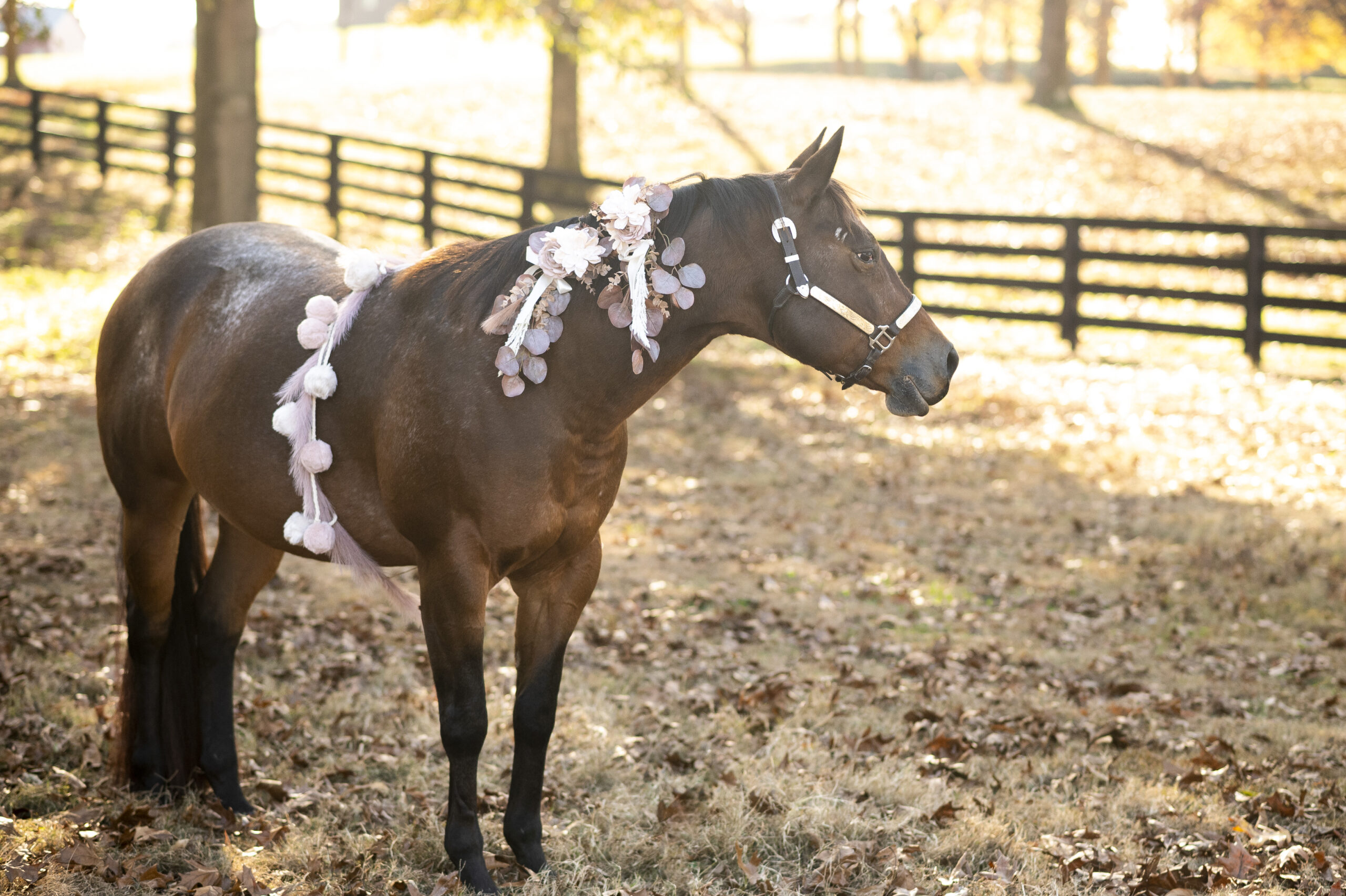 pregnant mare wearing decorative garland for maternity photo